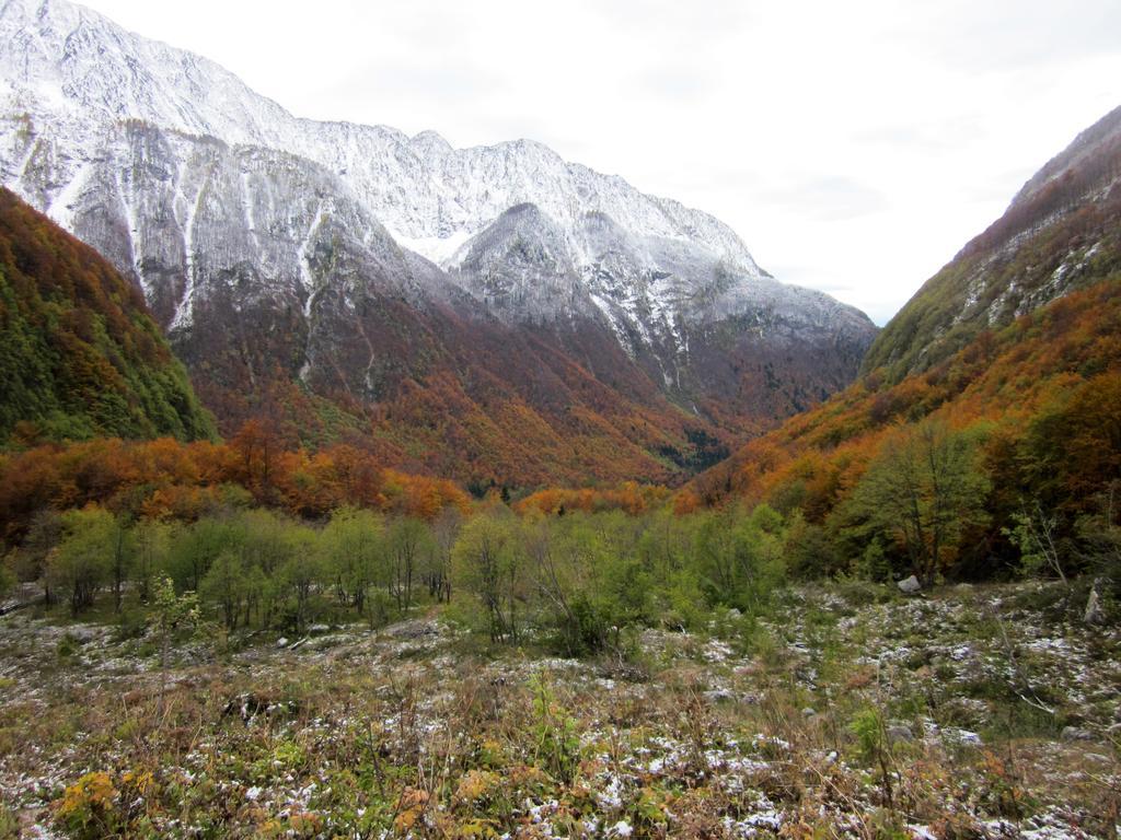 Vila Bezgova Hisica Bovec Exteriér fotografie