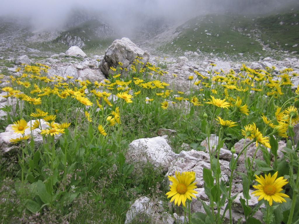 Vila Bezgova Hisica Bovec Exteriér fotografie