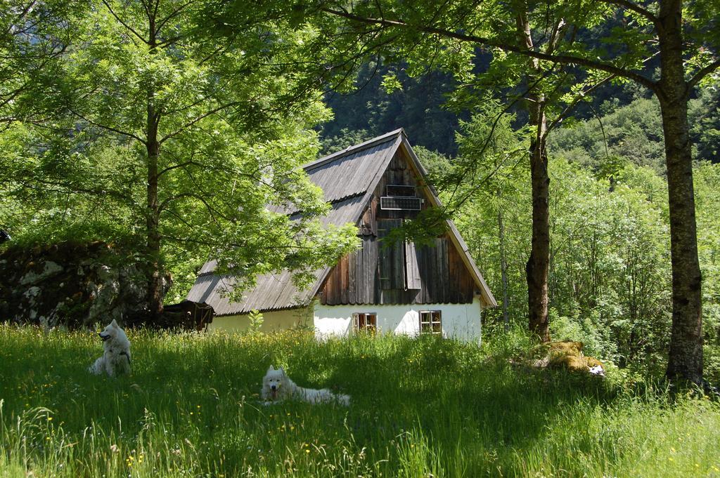 Vila Bezgova Hisica Bovec Exteriér fotografie