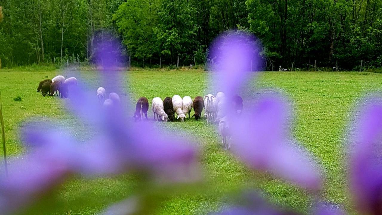 Vila Bezgova Hisica Bovec Exteriér fotografie