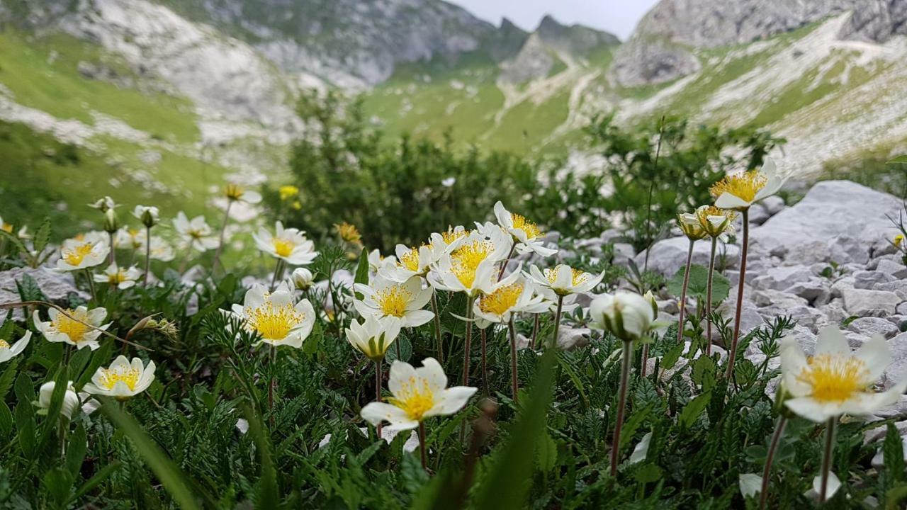 Vila Bezgova Hisica Bovec Exteriér fotografie